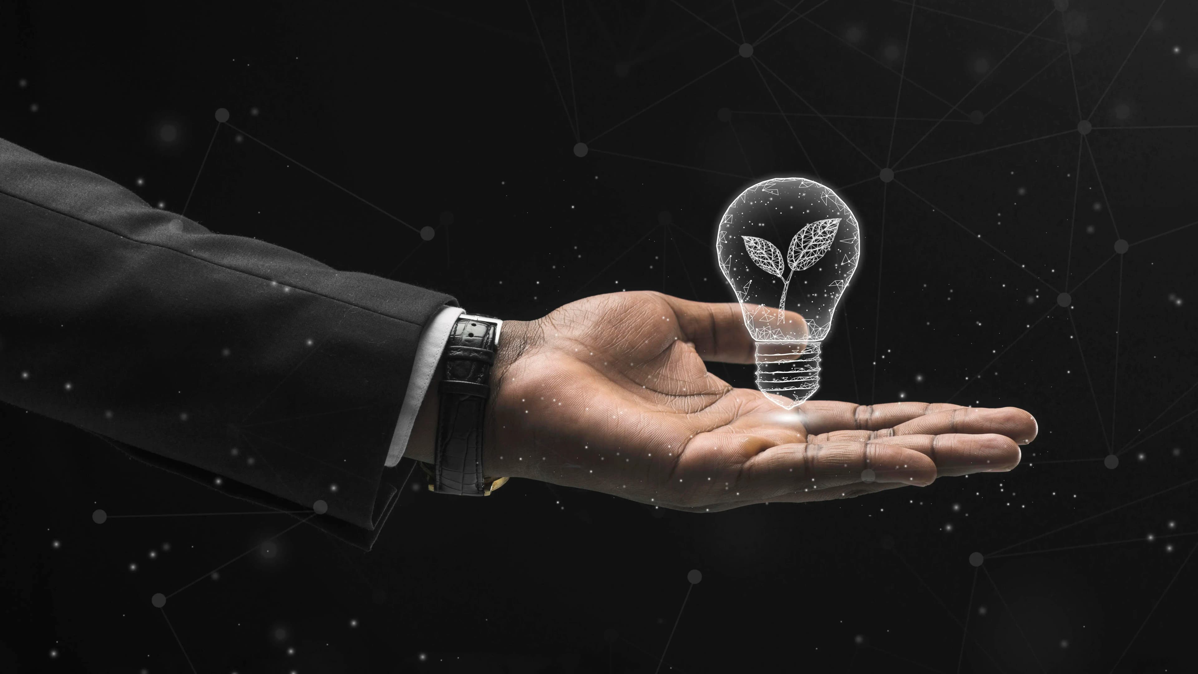 Organisation Header Image